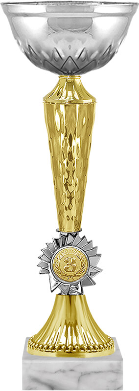 Кубок Гриф 3 место