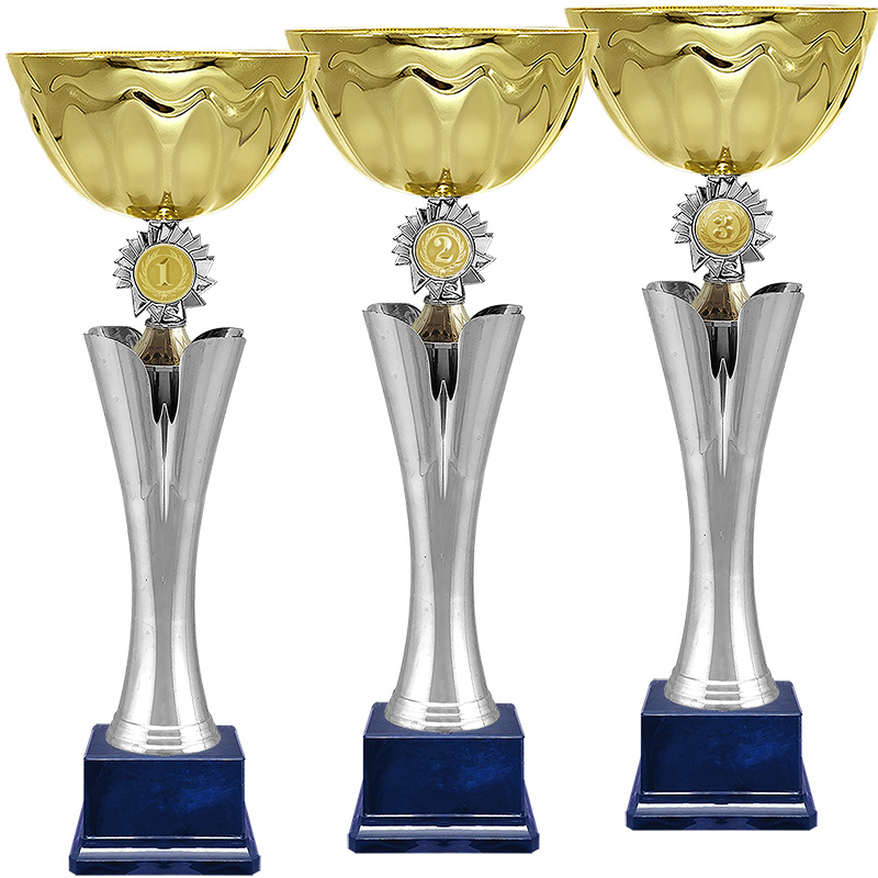 Кубок Турина 2 место
