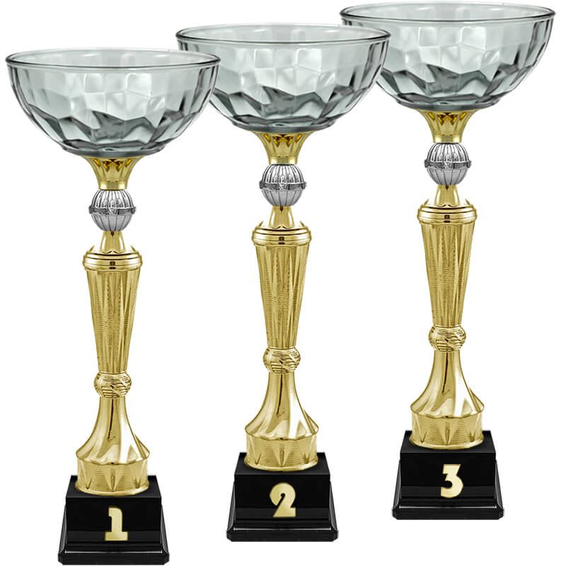 Кубок Нуар 2 место