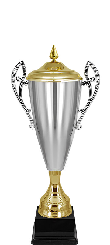 Кубок Владияр