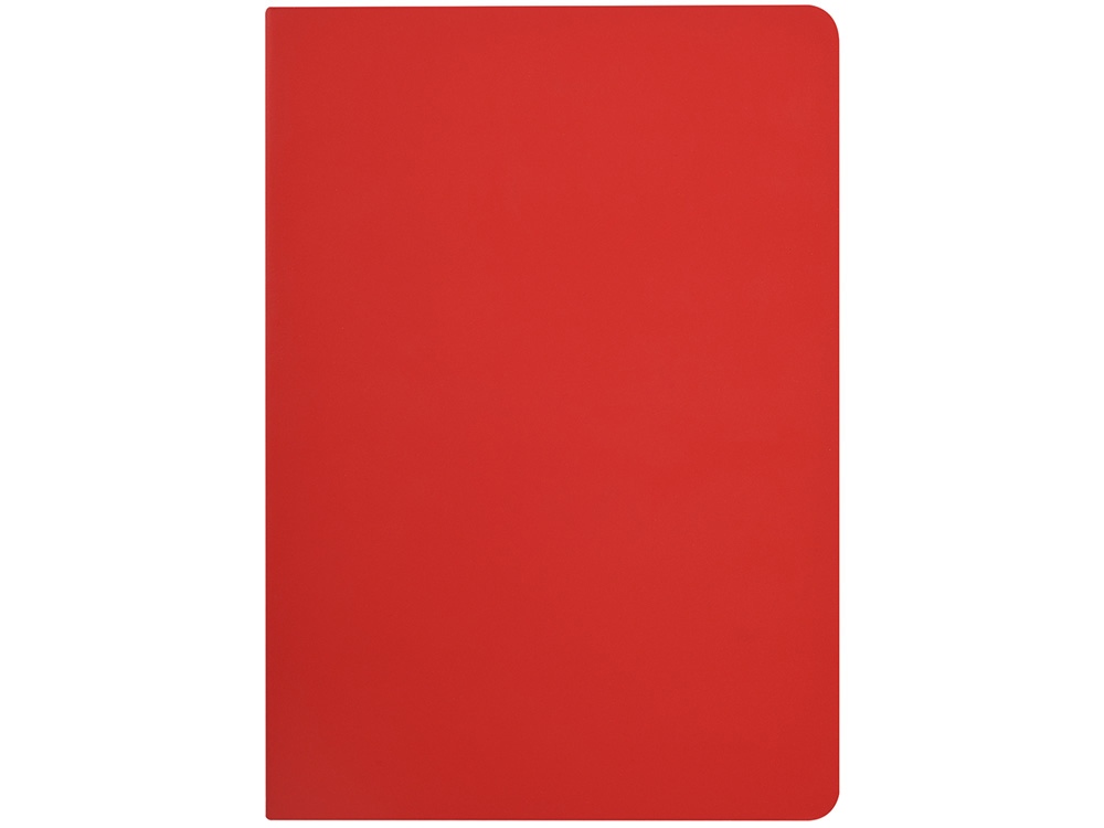 Бизнес-тетрадь А5 Pragmatic Contrast, 40 листов в клетку, красный с темно-серым срезом