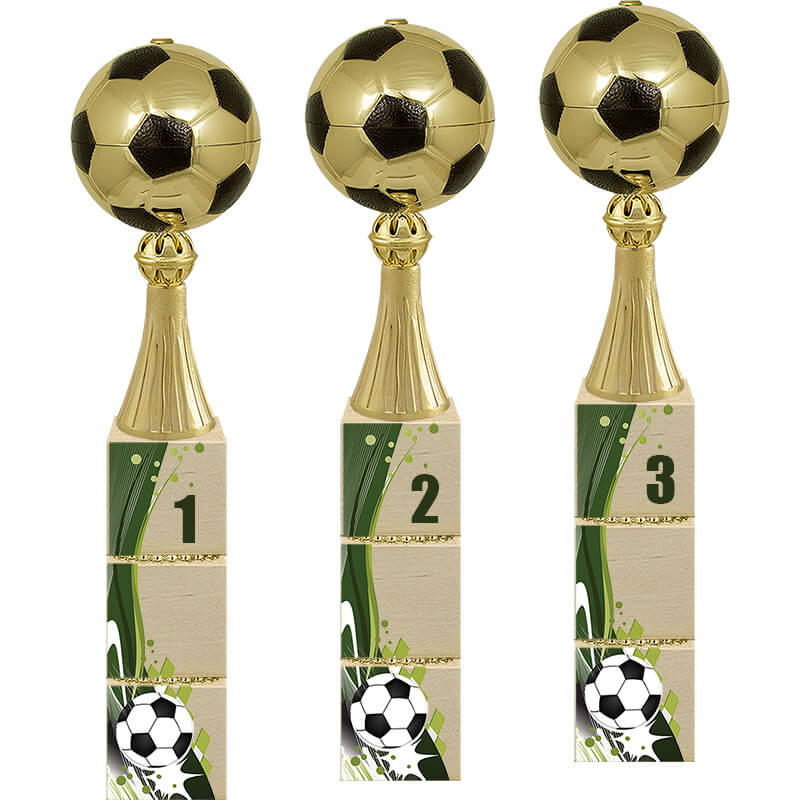 Кубок Вингер 2 место