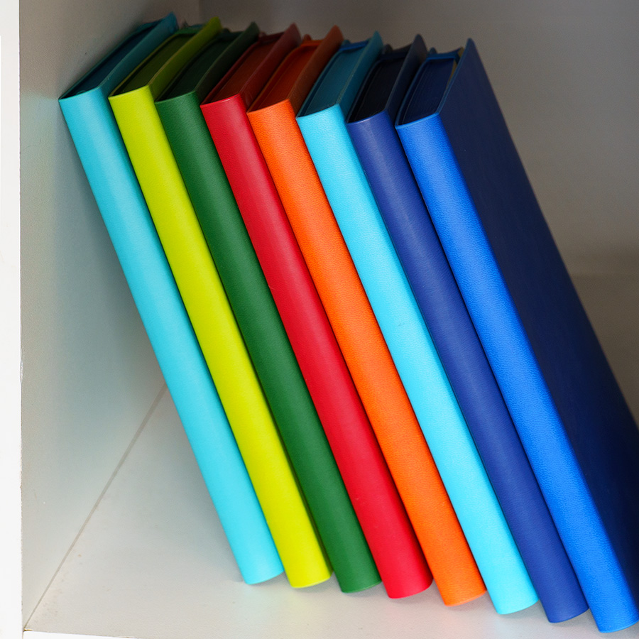 Бизнес-блокнот "RILY", формат А5,  зеленое яблоко, блок в точку