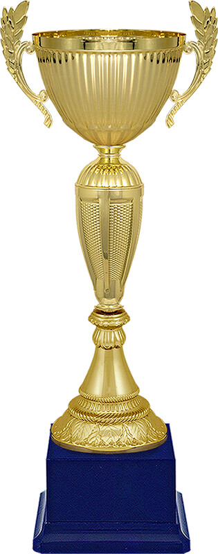 Кубок Рамиль (синий)