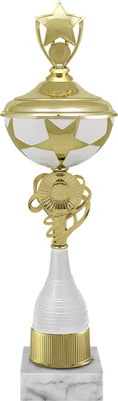 Кубок Флипп