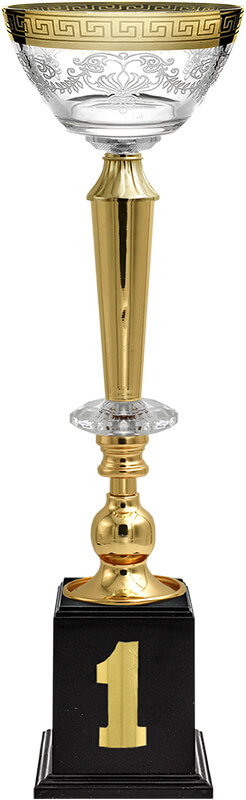 Кубок Эллея 1 место