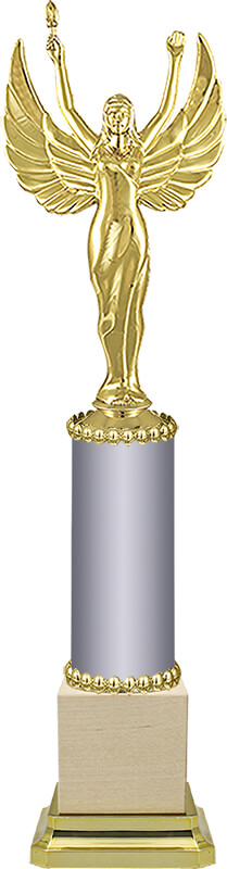 Награда с никой (серебро)