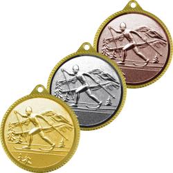 Медаль Лыжный спорт (спорт)